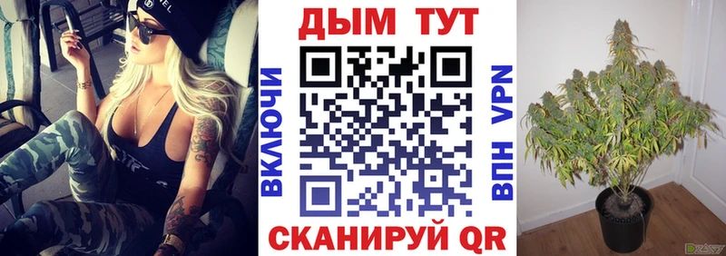 Бошки Шишки White Widow Вельск